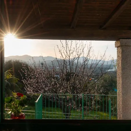 Casa Con Terrazza Apartment Tanaunella